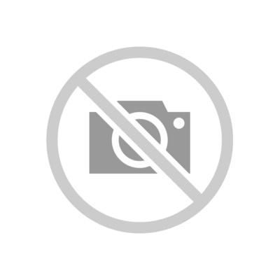 晴空塔系列｜Snoopy 掛飾公仔